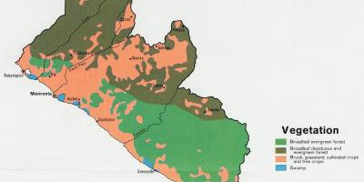Xəritəsi, bitki örtüyünün xəritəsi, Liberiyada